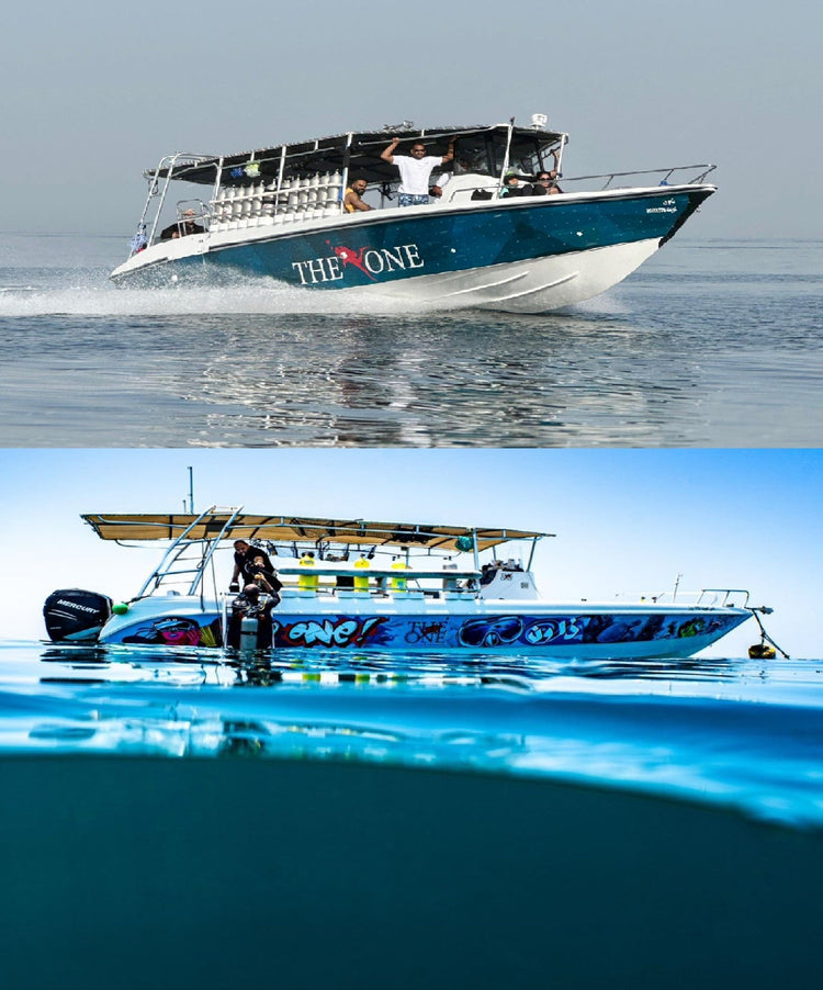 Diving Trips