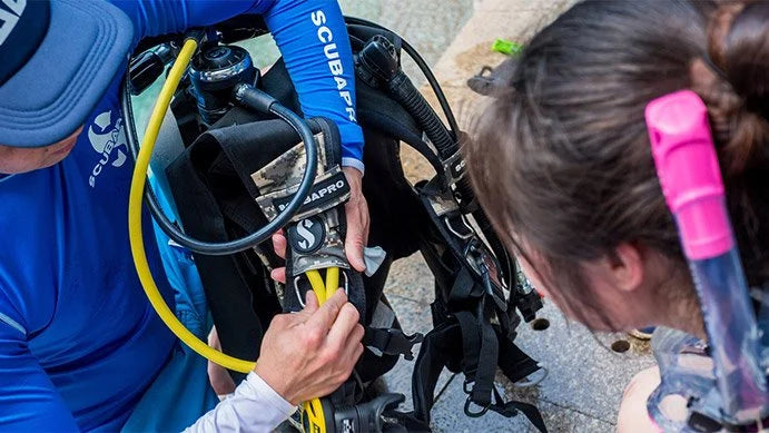 مساعد المعلم