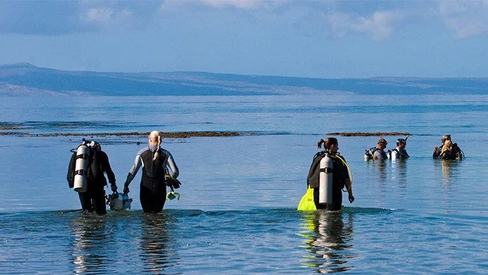 طاقم عمل مركز البيانات الدولي