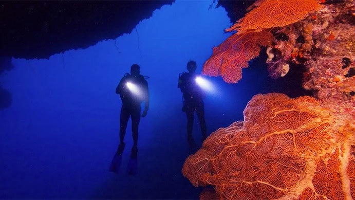 THE Master Scuba Diver Instructor