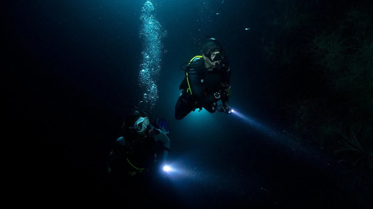The Night Diver