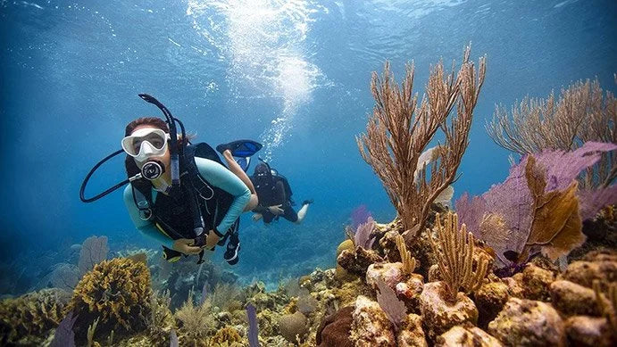 The Open Water Diver