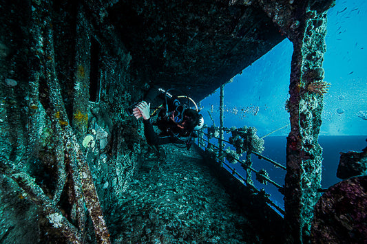 Essential Scuba Diving Gear: A Complete Guide for Beginners & Pros