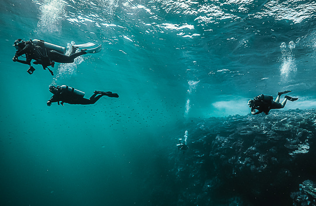Fitness and Diving