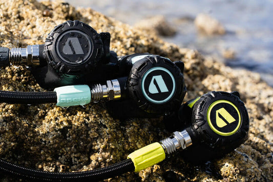 APEKS XL4 OCEA مع الأخطبوط