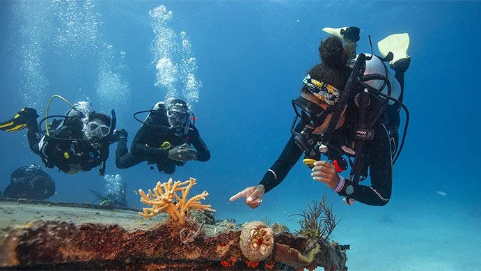 تخصصات غواص سكوبا الرئيسي PADI 