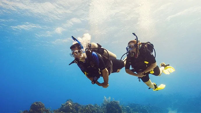 The Scuba Diver